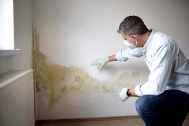 Best Asbestos and Lead Testing During Mold Inspection  in Daingerfield, TX